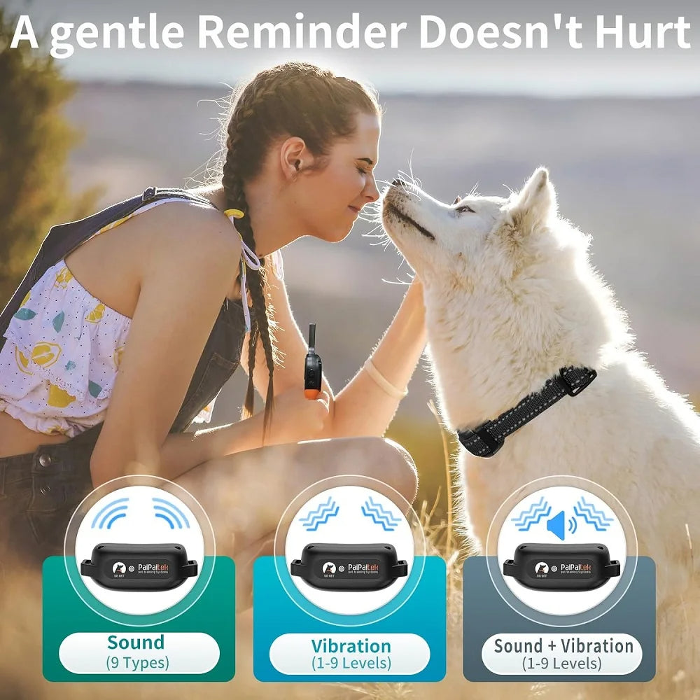 طوق الكلب إيفلون