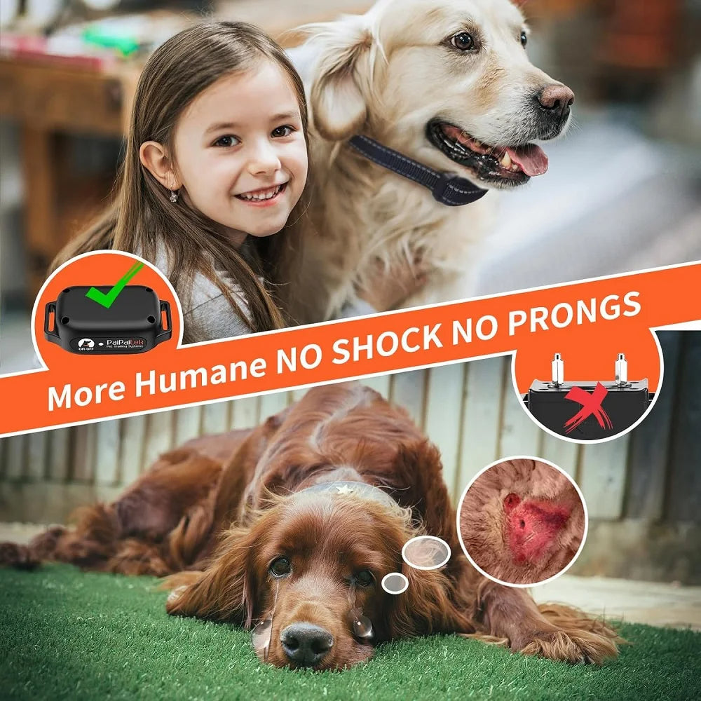 و طوق إيفلون