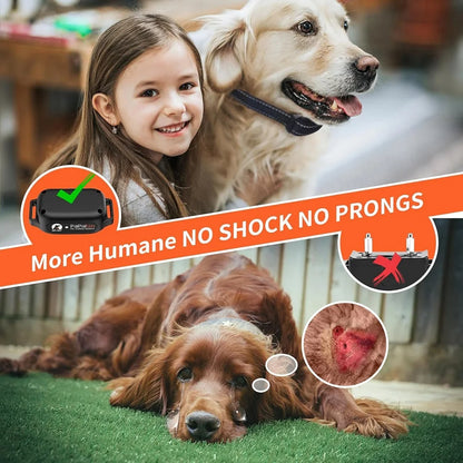 و طوق إيفلون