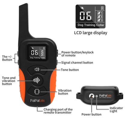 طوق التدريب إيفلون